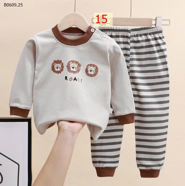 MẪU 15