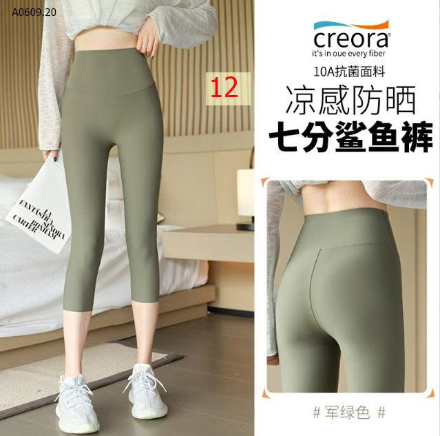 MẪU 12