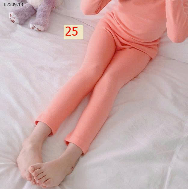 MẪU 25