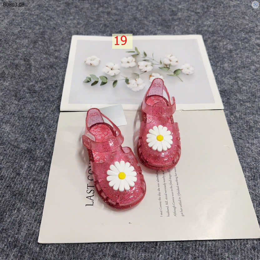 MẪU 19