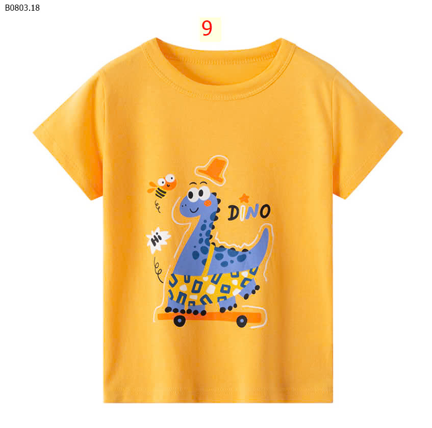 MẪU 9