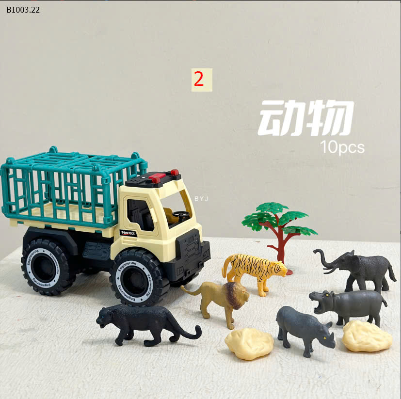 MẪU