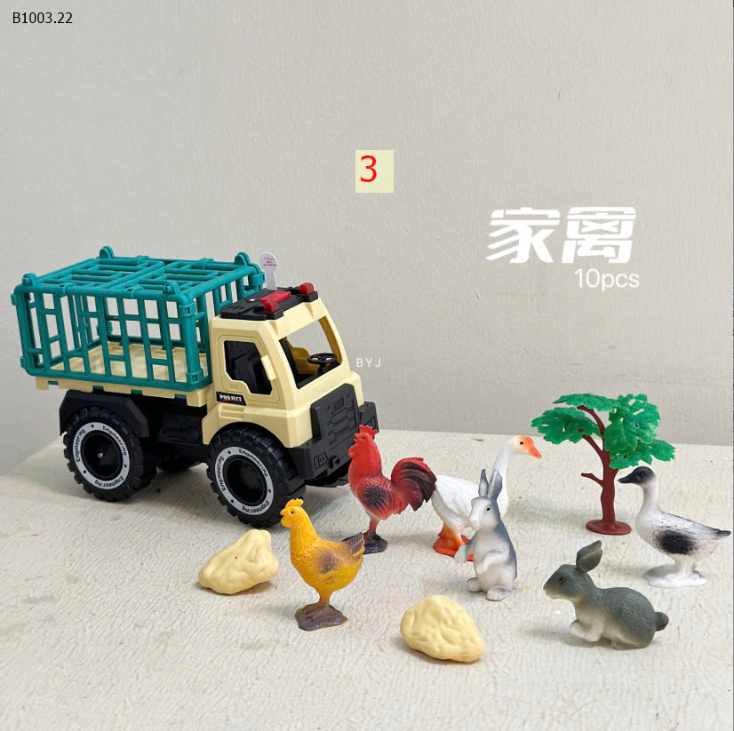 MẪU