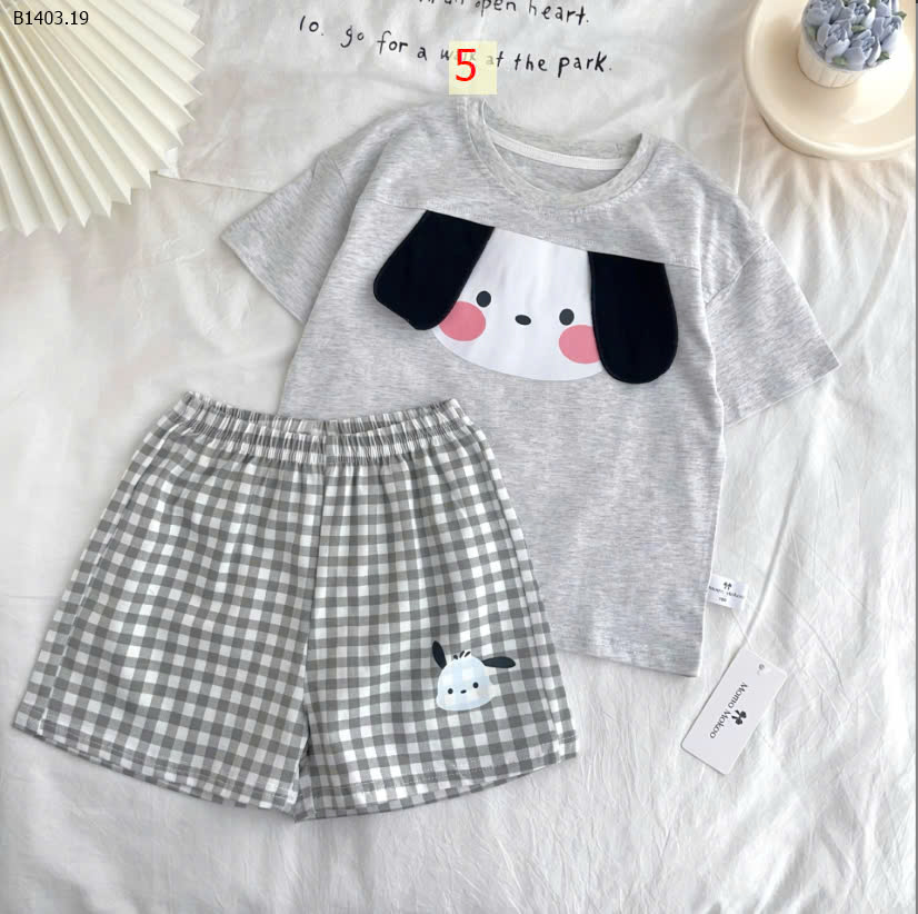MẪU 5