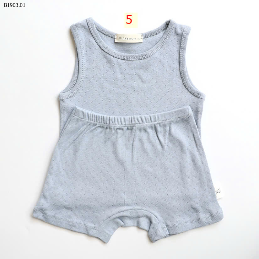MẪU 5