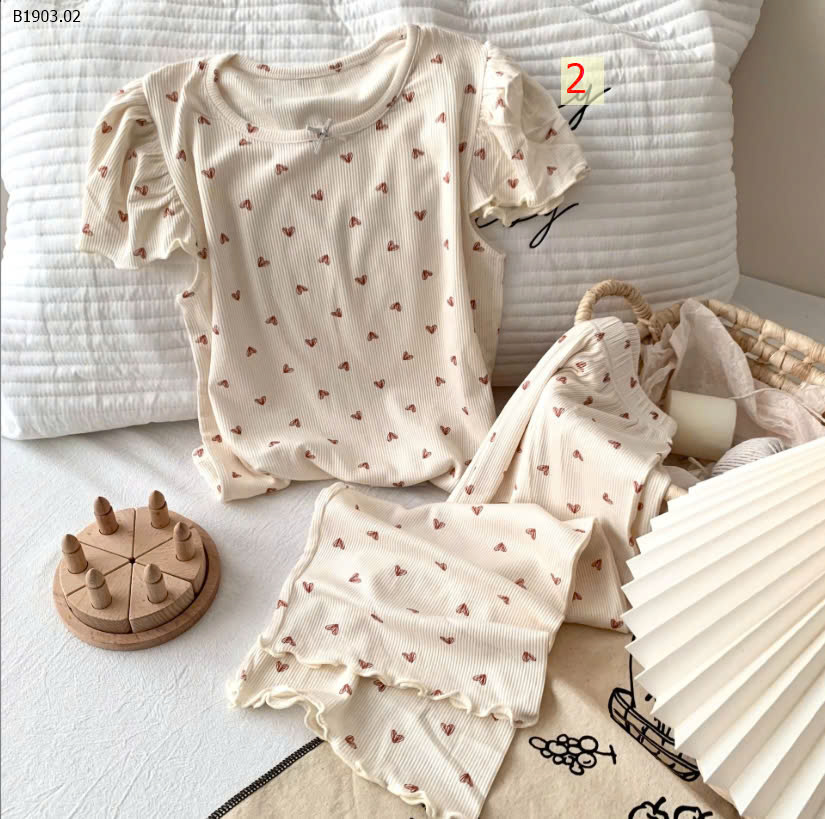 MẪU 2