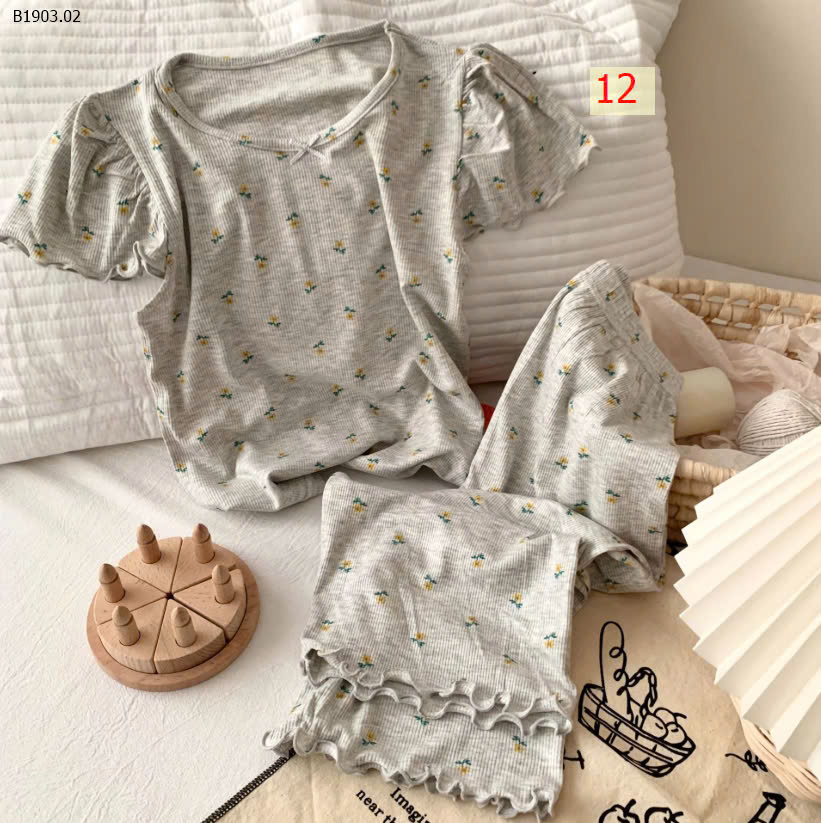 MẪU 12