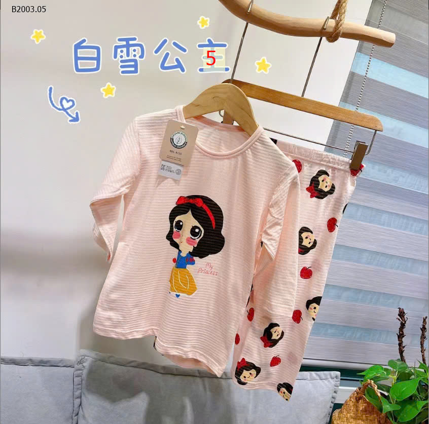 MẪU 5