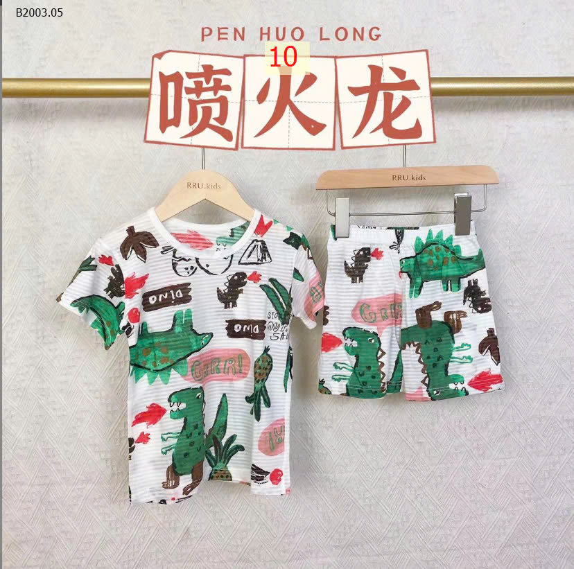 MẪU 10