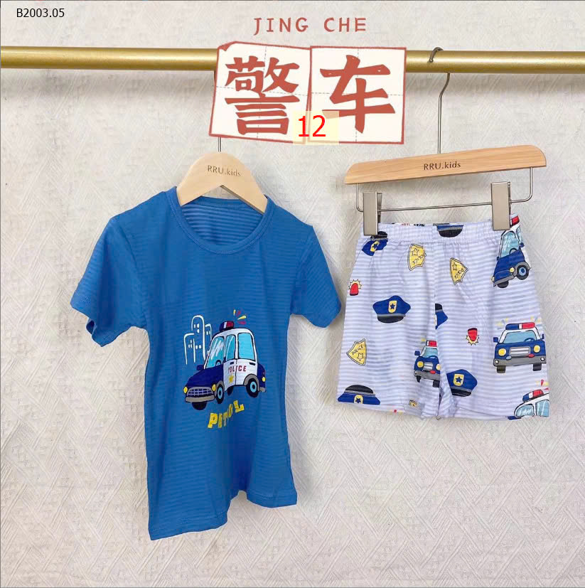 MẪU 12
