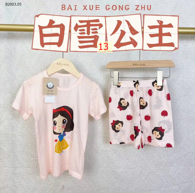 MẪU 13