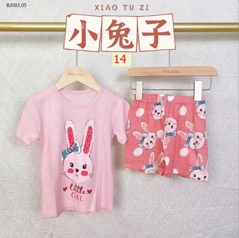 MẪU 14