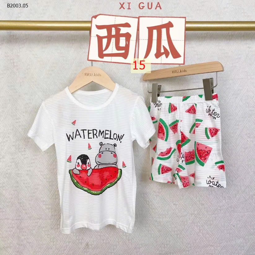 MẪU 15