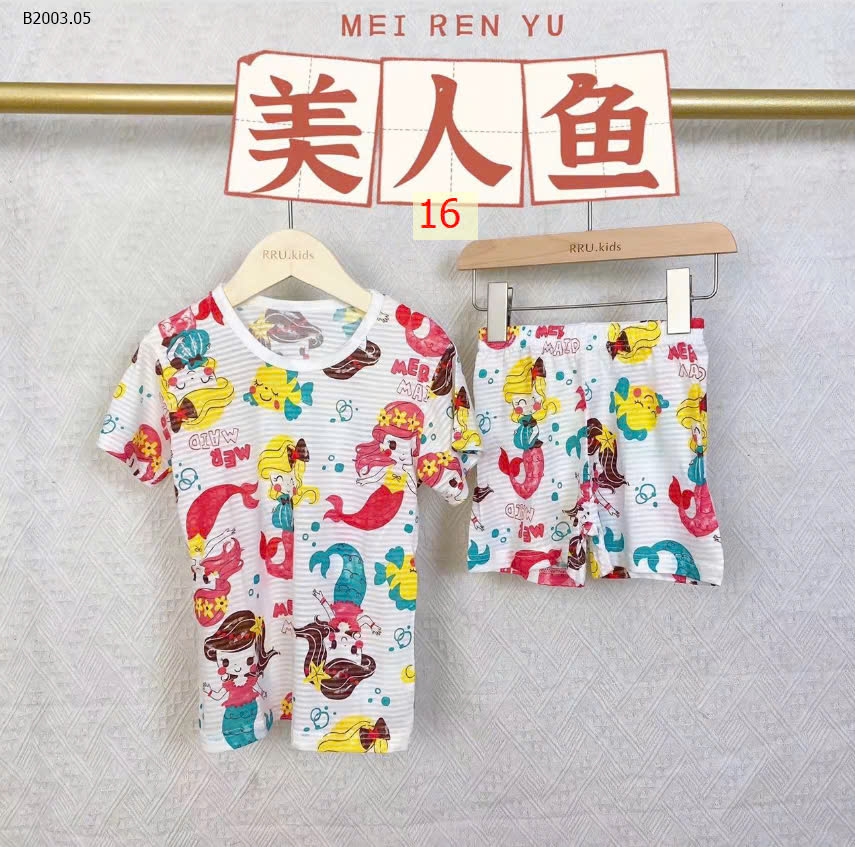 MẪU 16