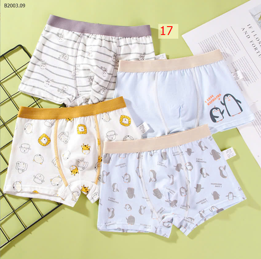 MẪU 17