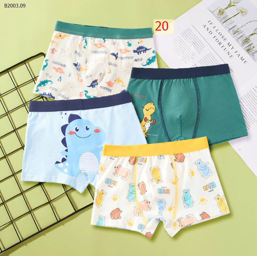 MẪU 20