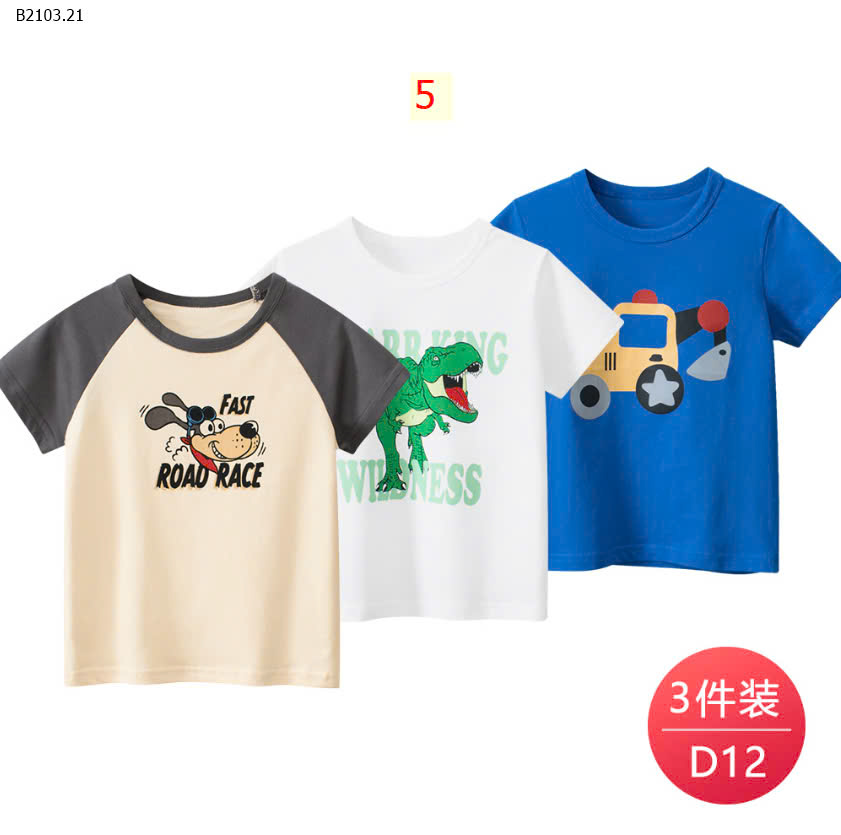 MẪU 5
