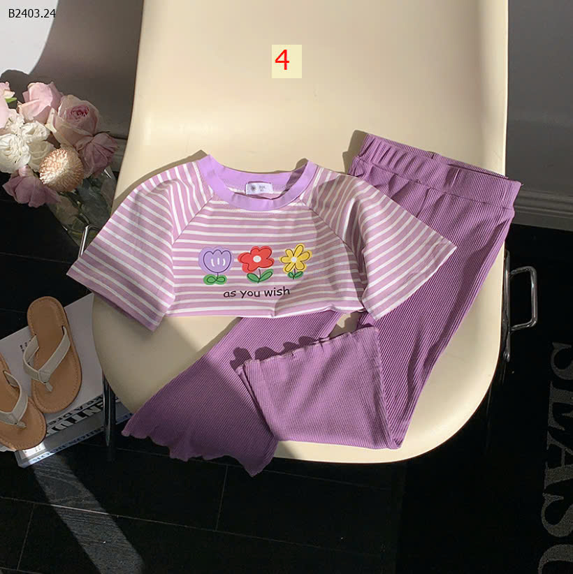 SET 4