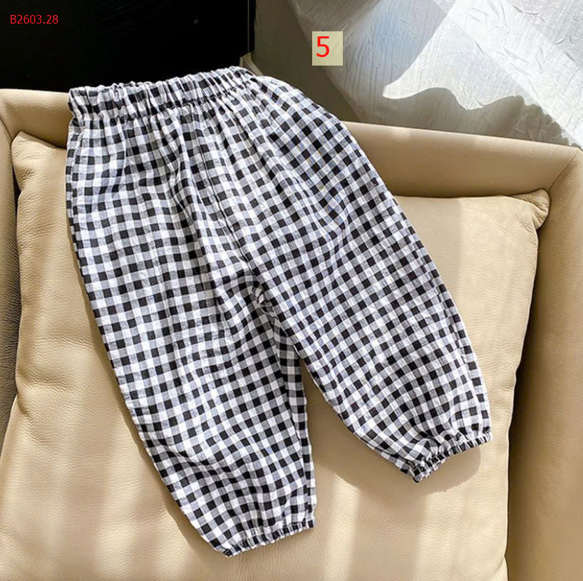 MẪU 5