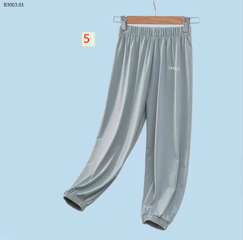 MẪU 5