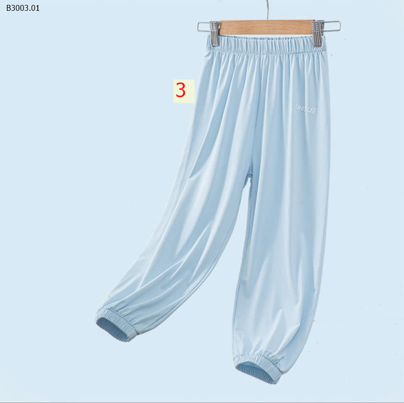 MẪU 3