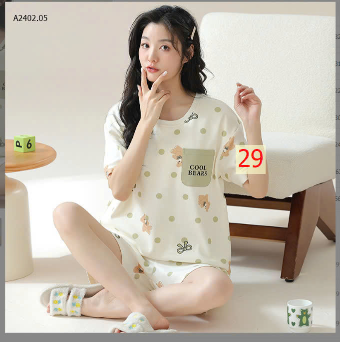 MẪU 29