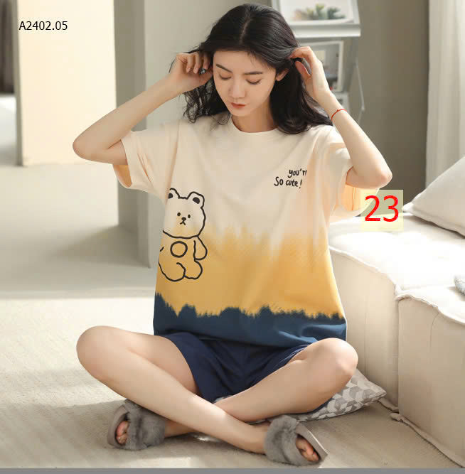MẪU 23