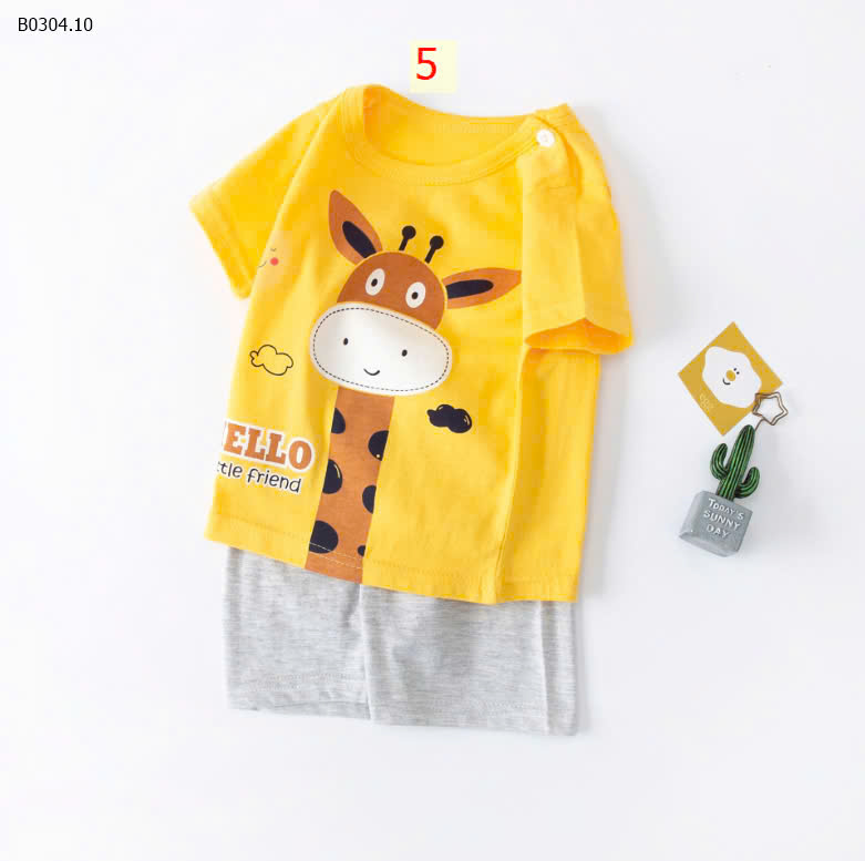 MẪU 5