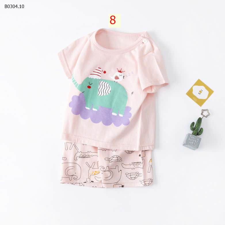 MẪU 8