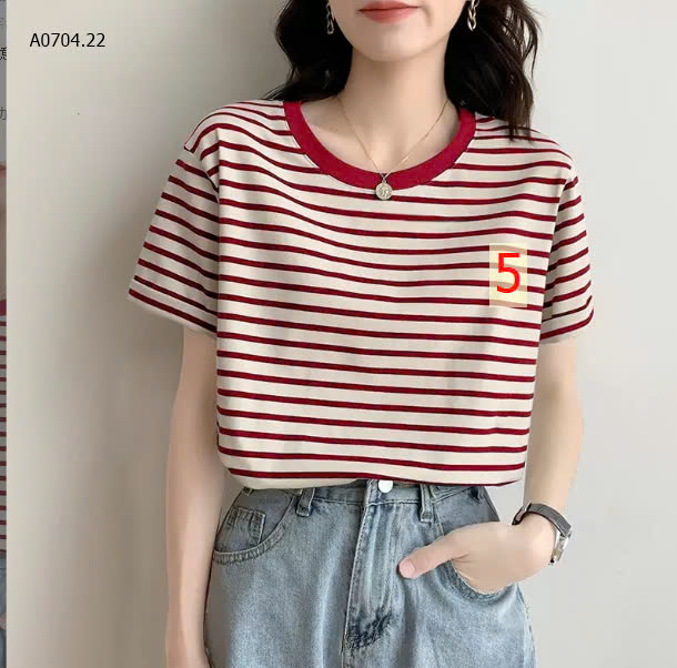 MẪU 5