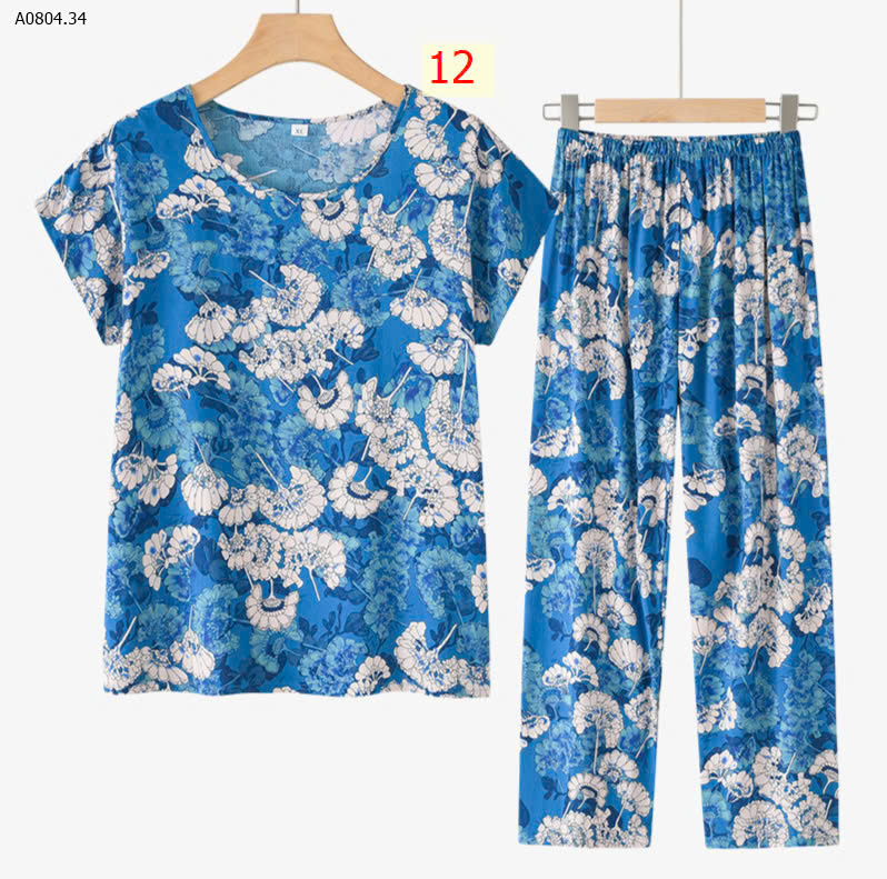 MẪU 12
