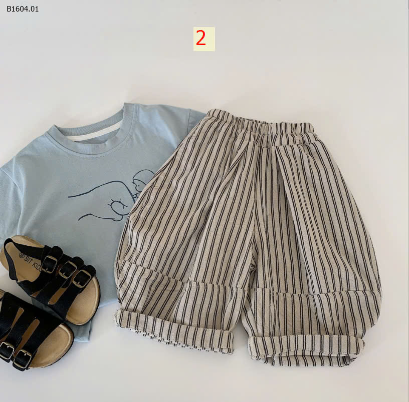 MẪU 2