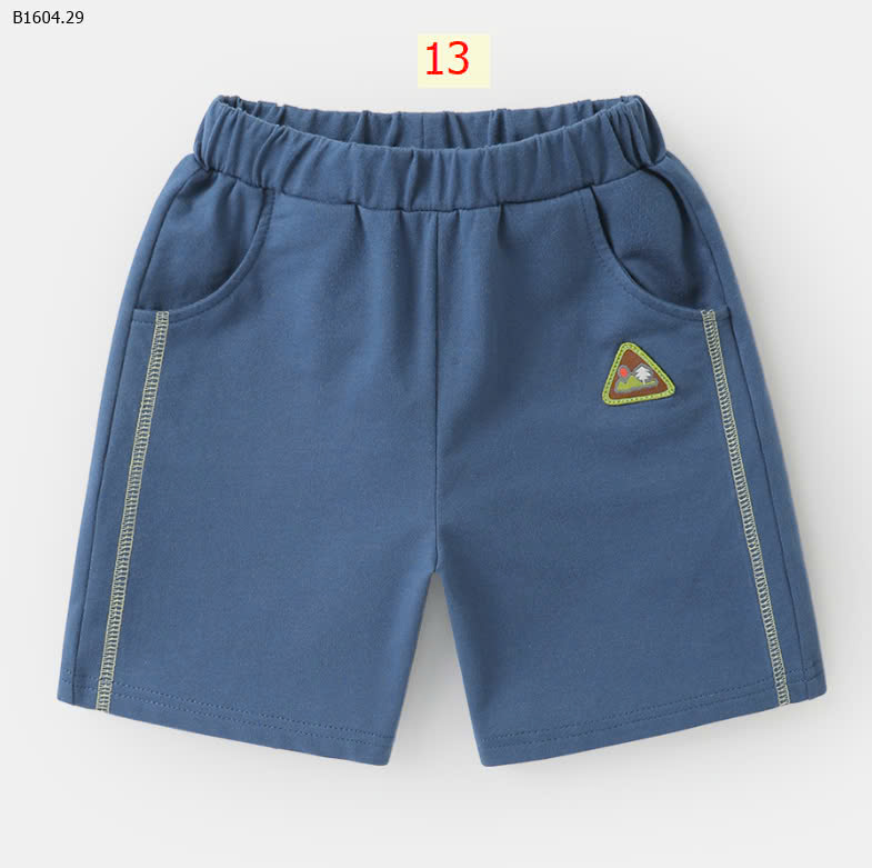 MẪU 13