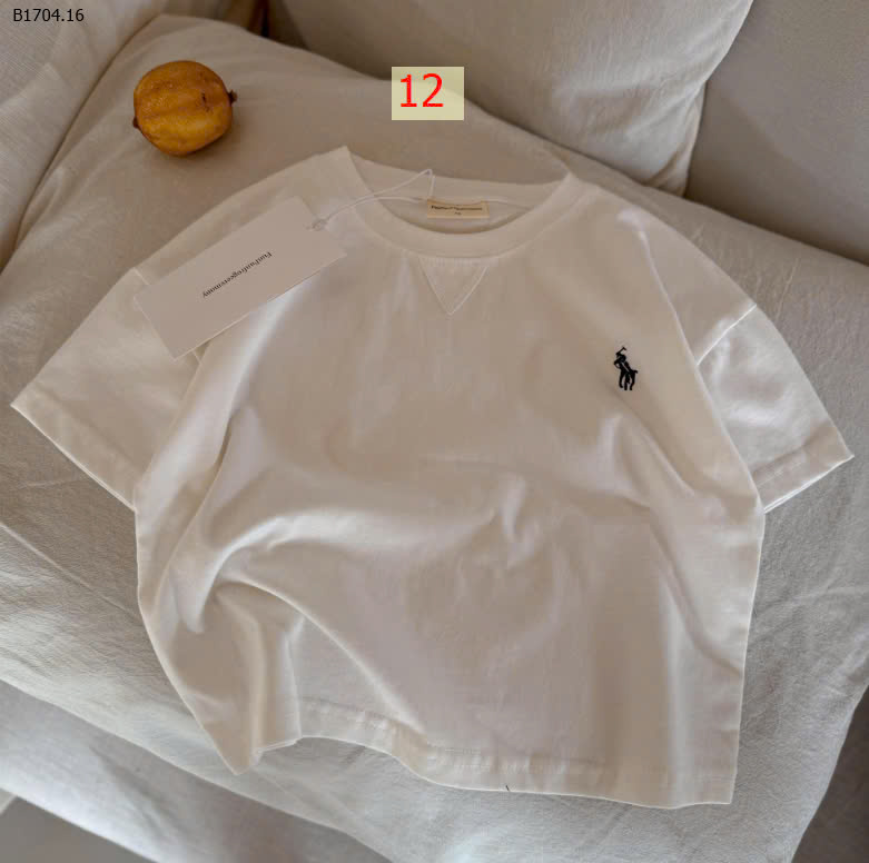 MẪU 12