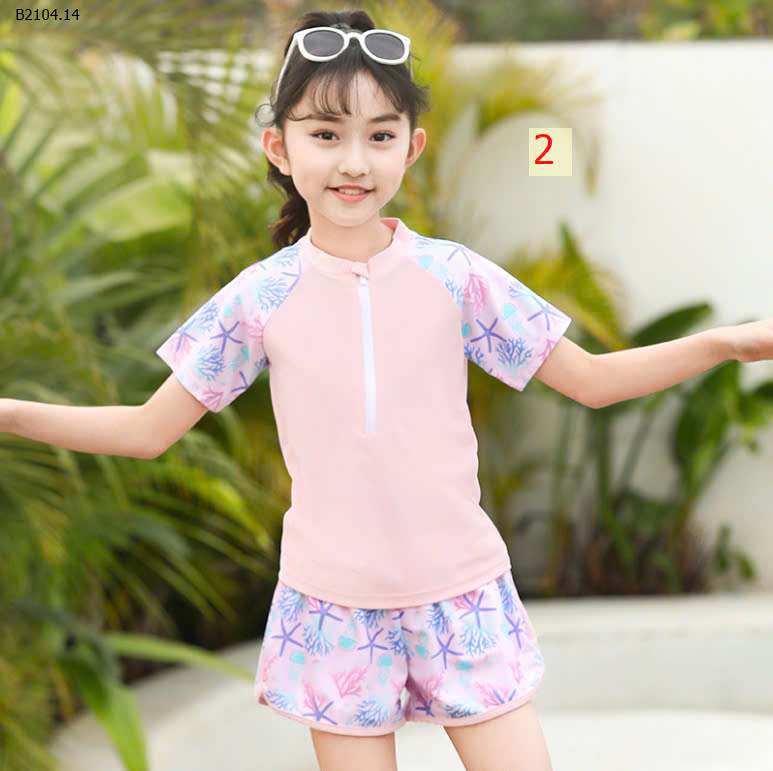 HỒNG