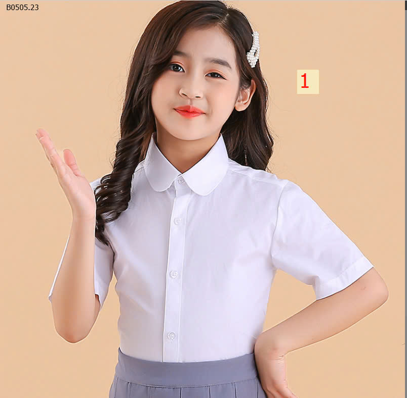 MẪU 1