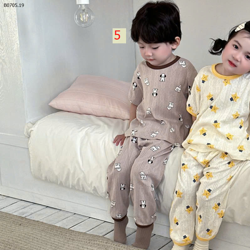 MẪU 5