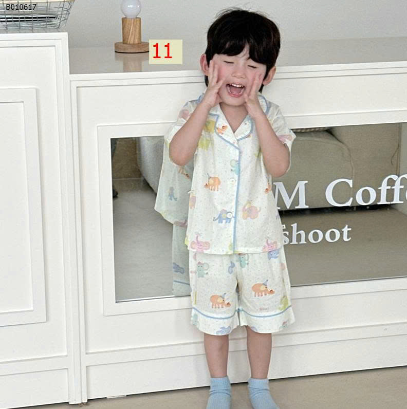 MẪU 11