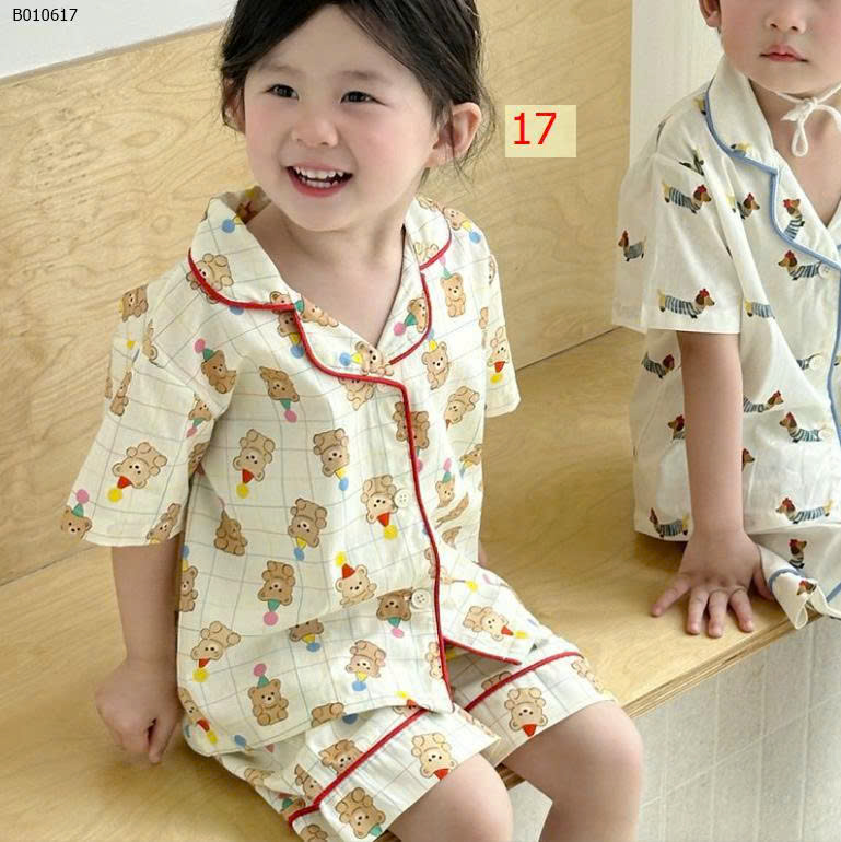 MẪU 17