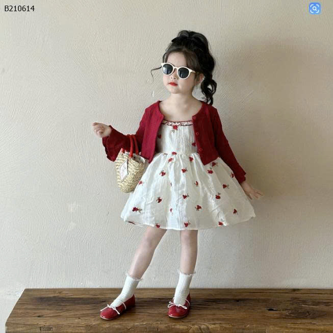 Áo len cardigan
