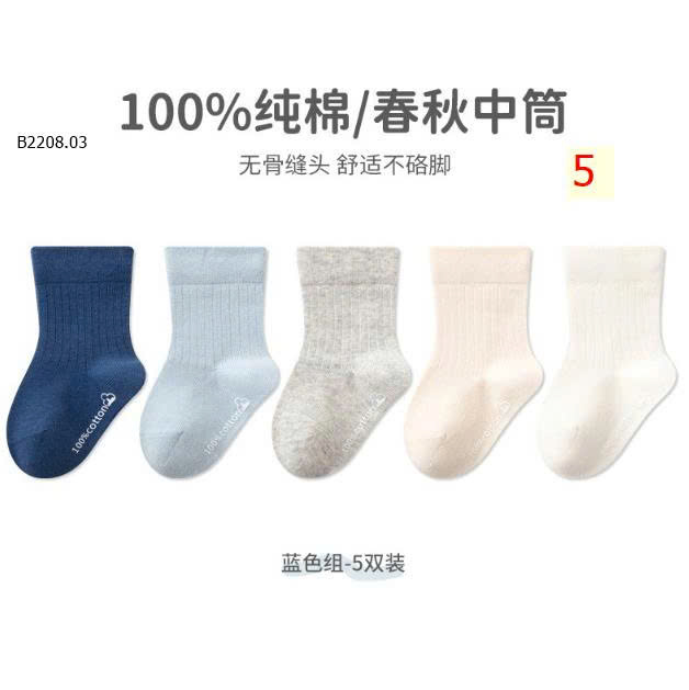 MẪU 5