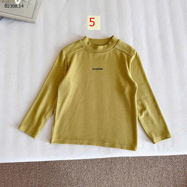 MẪU 5