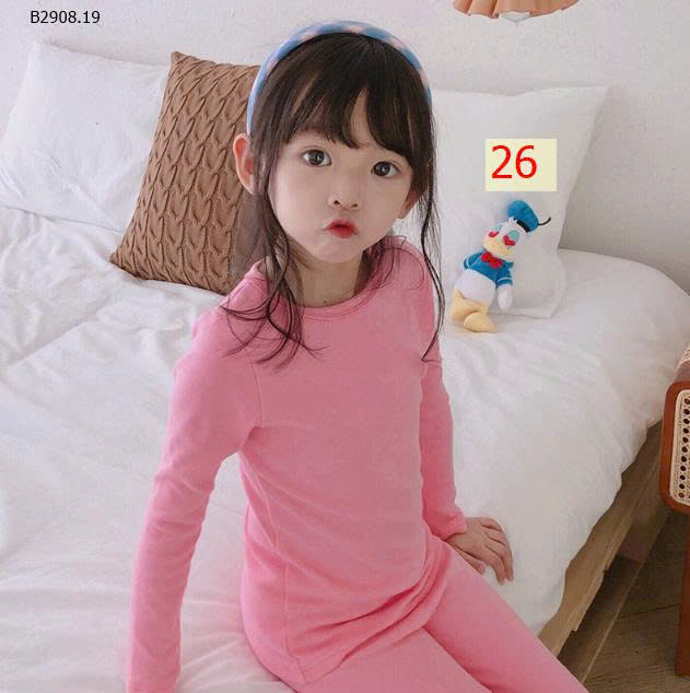 MẪU 26
