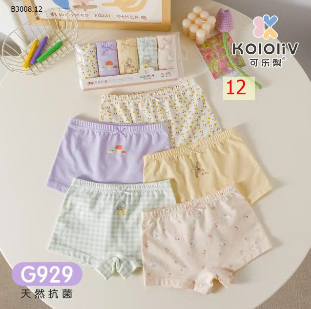 MẪU 12