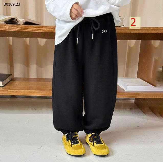 MẪU 2