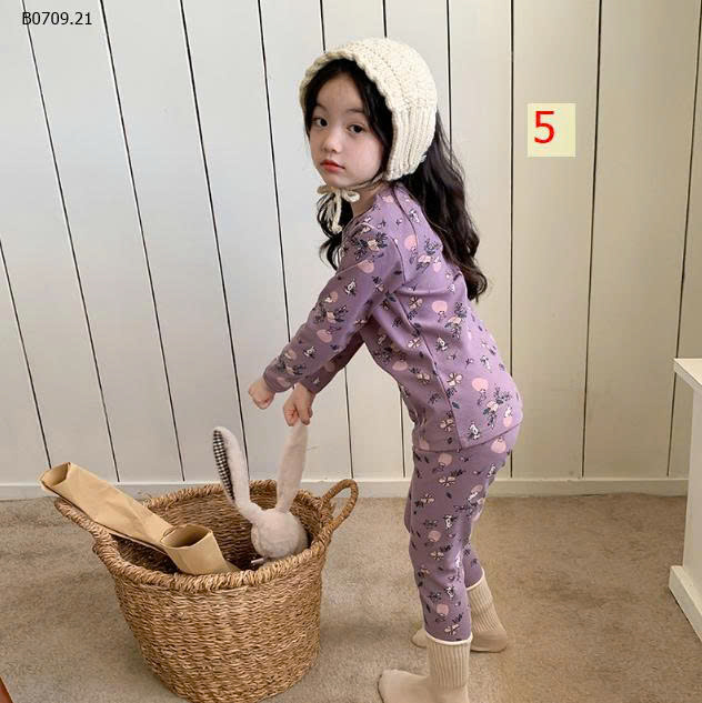 MẪU 5