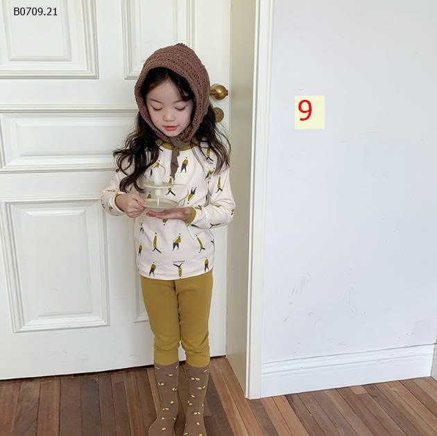 MẪU 9