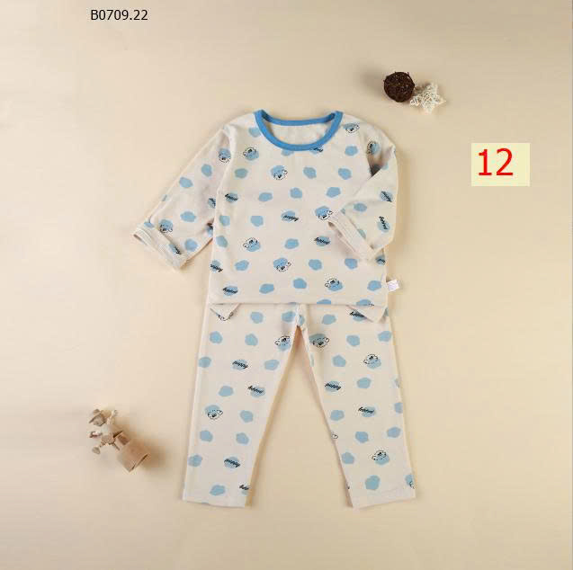MẪU 12