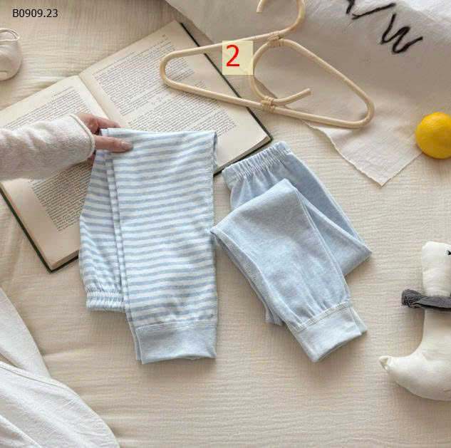 MẪU 2