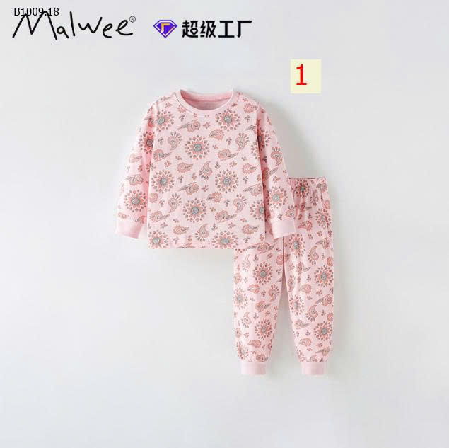 MẪU 1